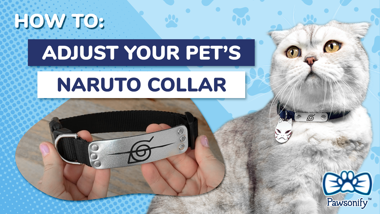 How to Adjust Your Pet's Naruto Collar