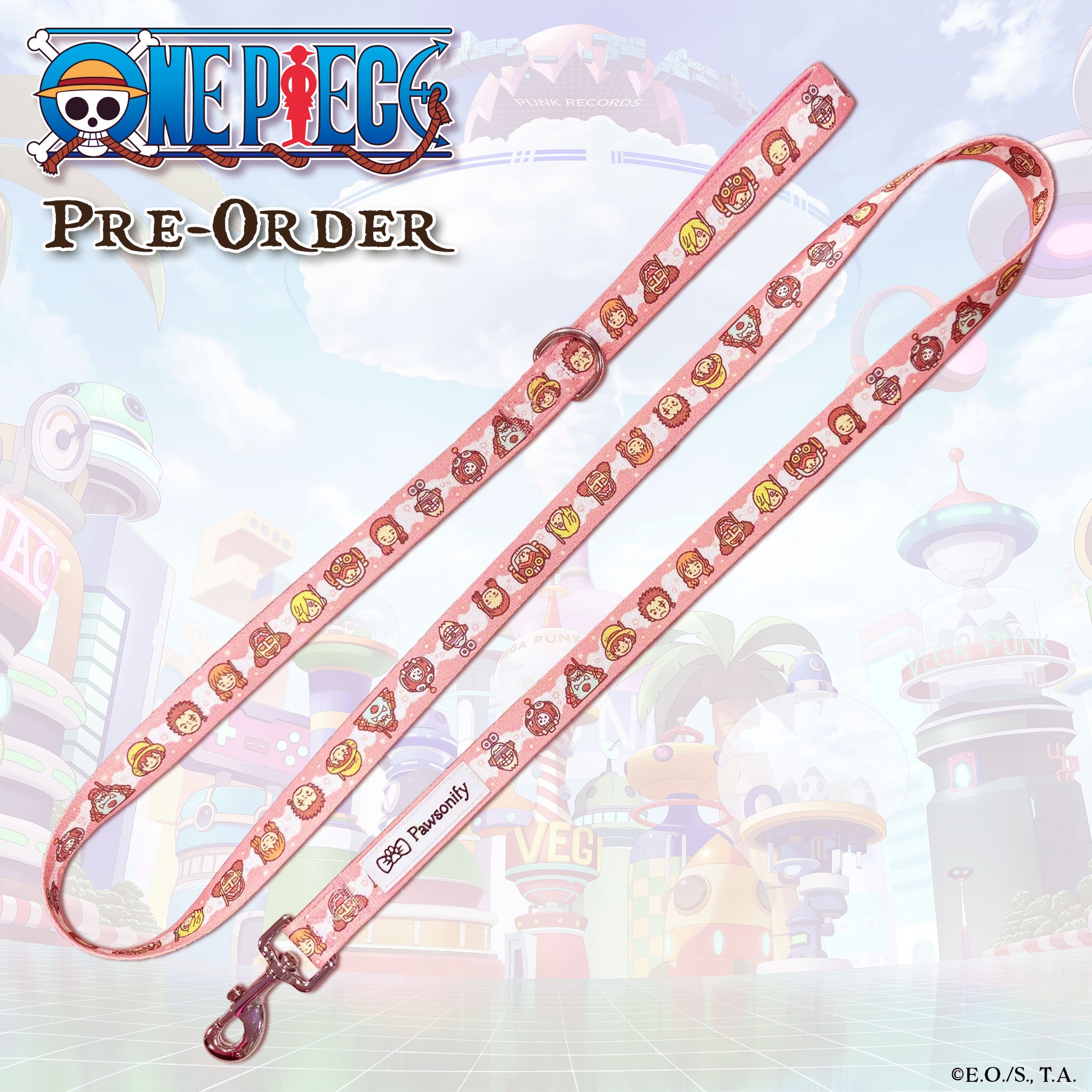 Future Island Egghead Leash (Pre-Order)