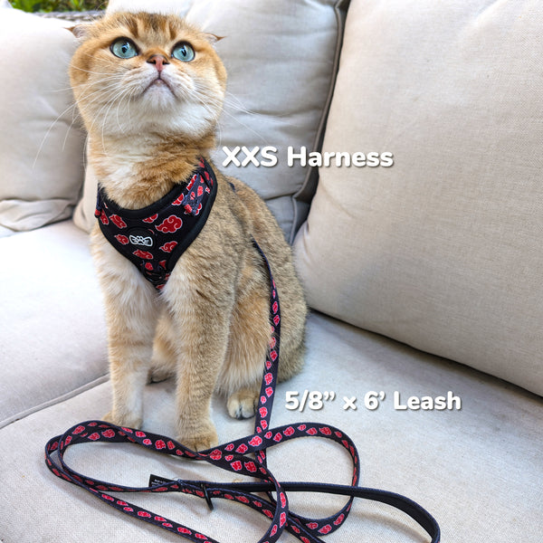 Cat wearing Akatsuki (XXS) Harness and 5/8" x 6' Akatsuki Leash.