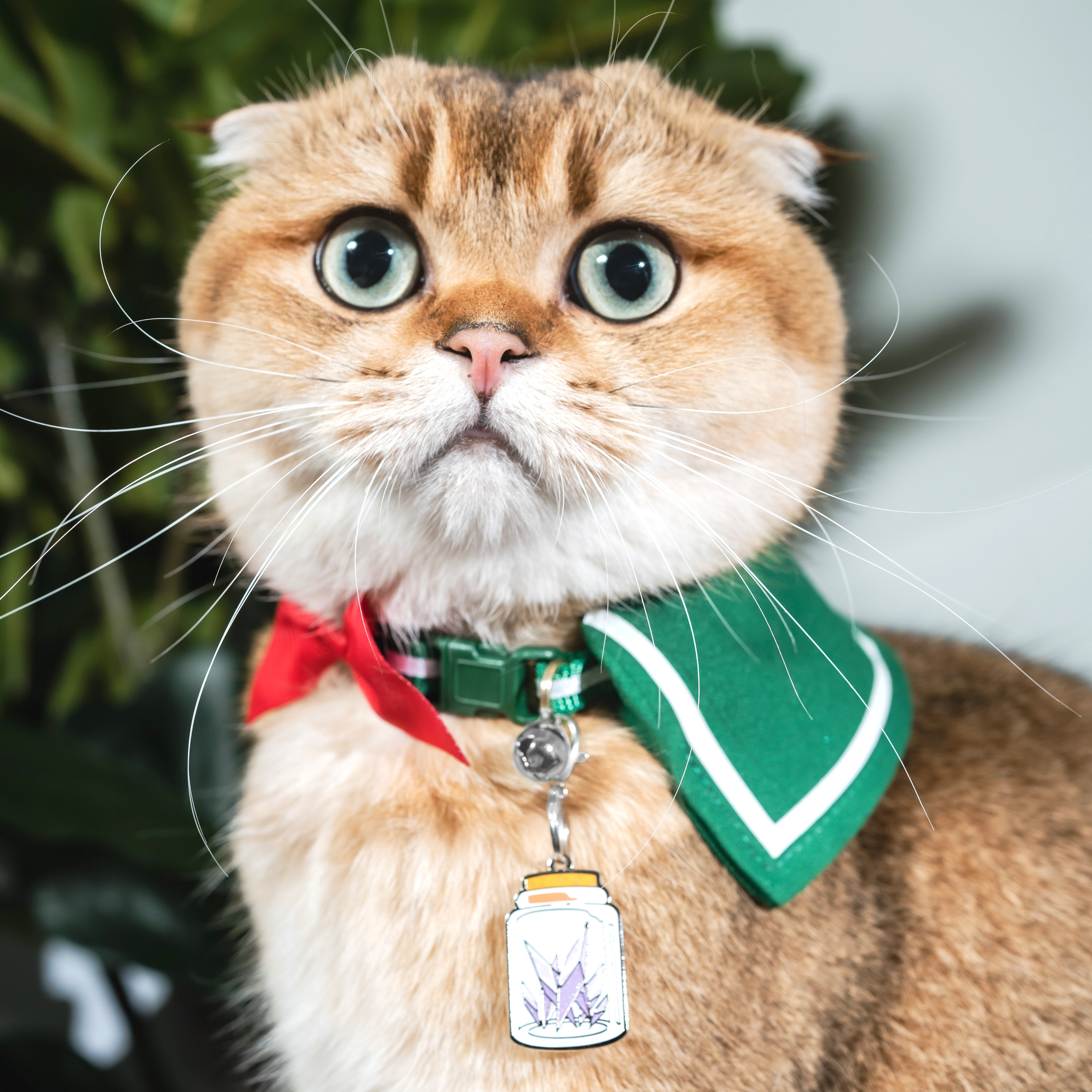 Kagome-themed cat collar featuring anime-inspired design and durable materials.