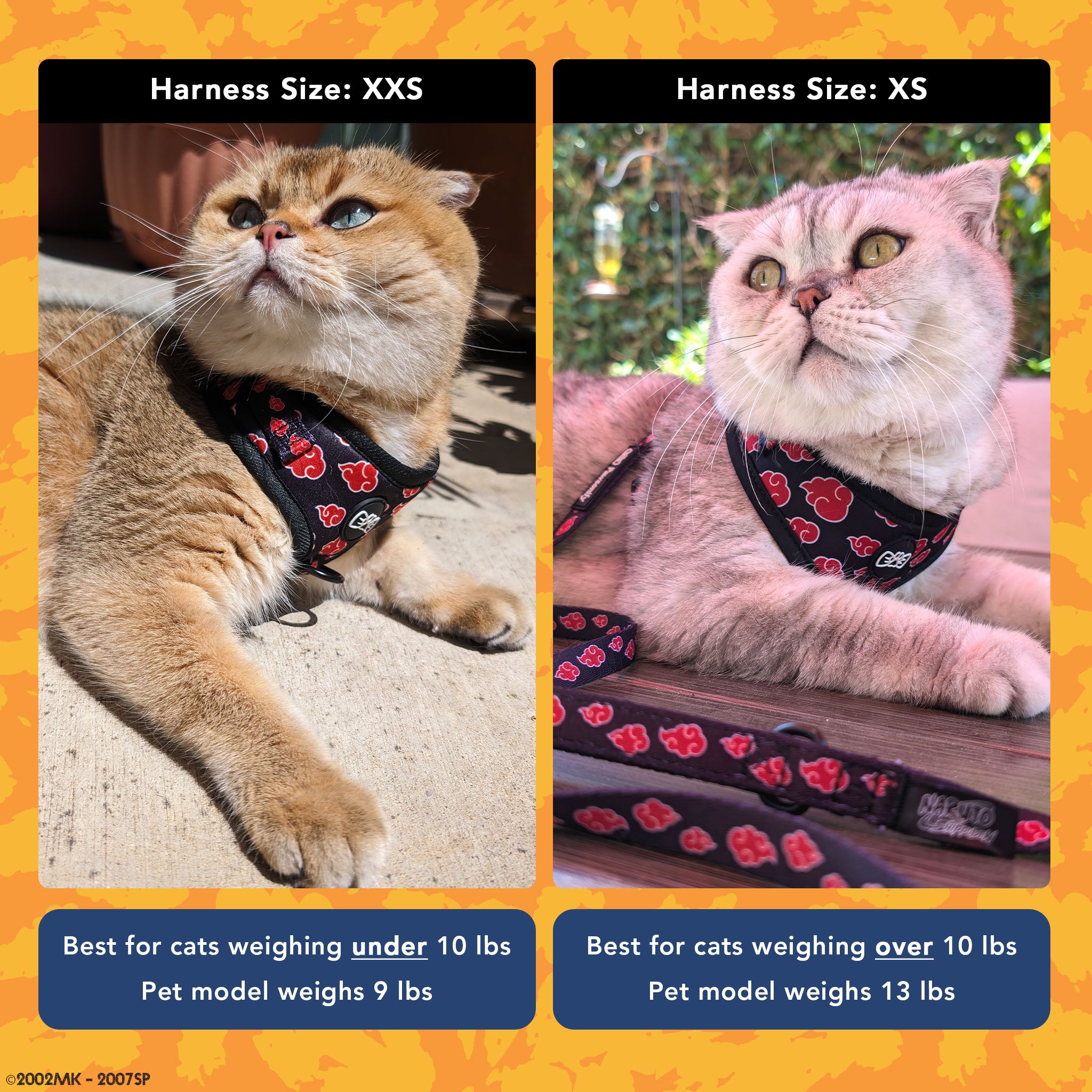 Chart comparing two Akatsuki Harness sizes (XXS and XS) for cats, with a weight guide to help choose the right fit. The image includes two cats wearing the harness for visual reference.