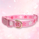 Cherry Blossom Dog Collar by Pawsonify - A stylish dog collar featuring a delicate cherry blossom design, perfect for adding a touch of elegance to your pet’s look.