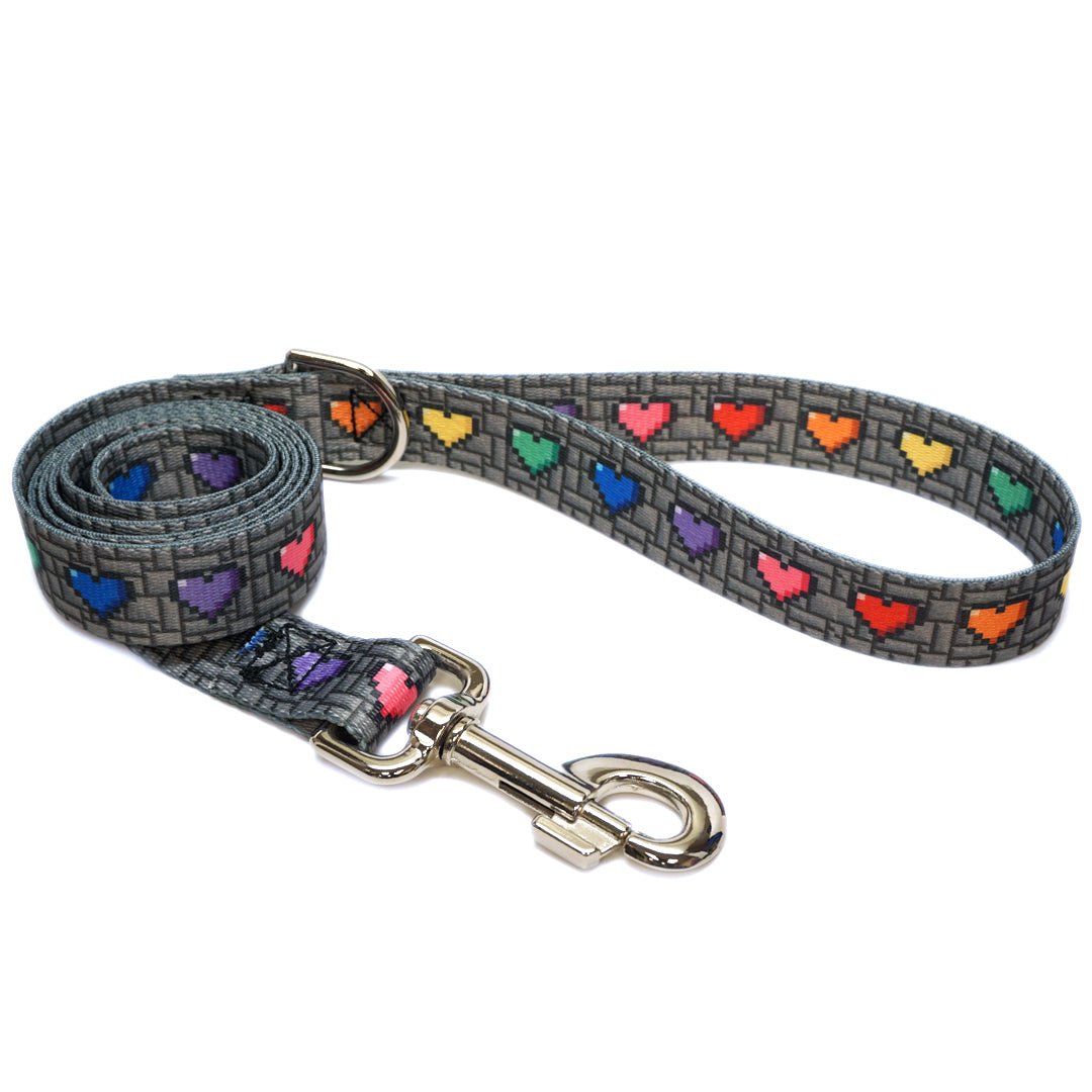 8-Bit Adventure Leash - Pawsonify