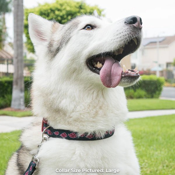 Naruto Shippuden Officially Licensed Akatsuki Dog Collar