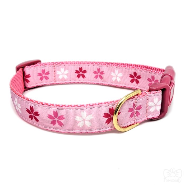 Treats Unleashed  Upcountry UpCountry Cherry Blossoms Dog Collar