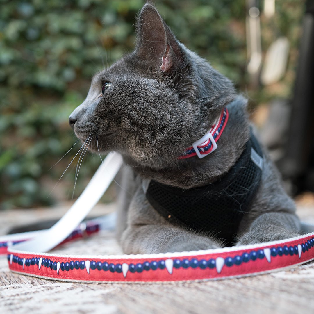 Inuyasha Collar