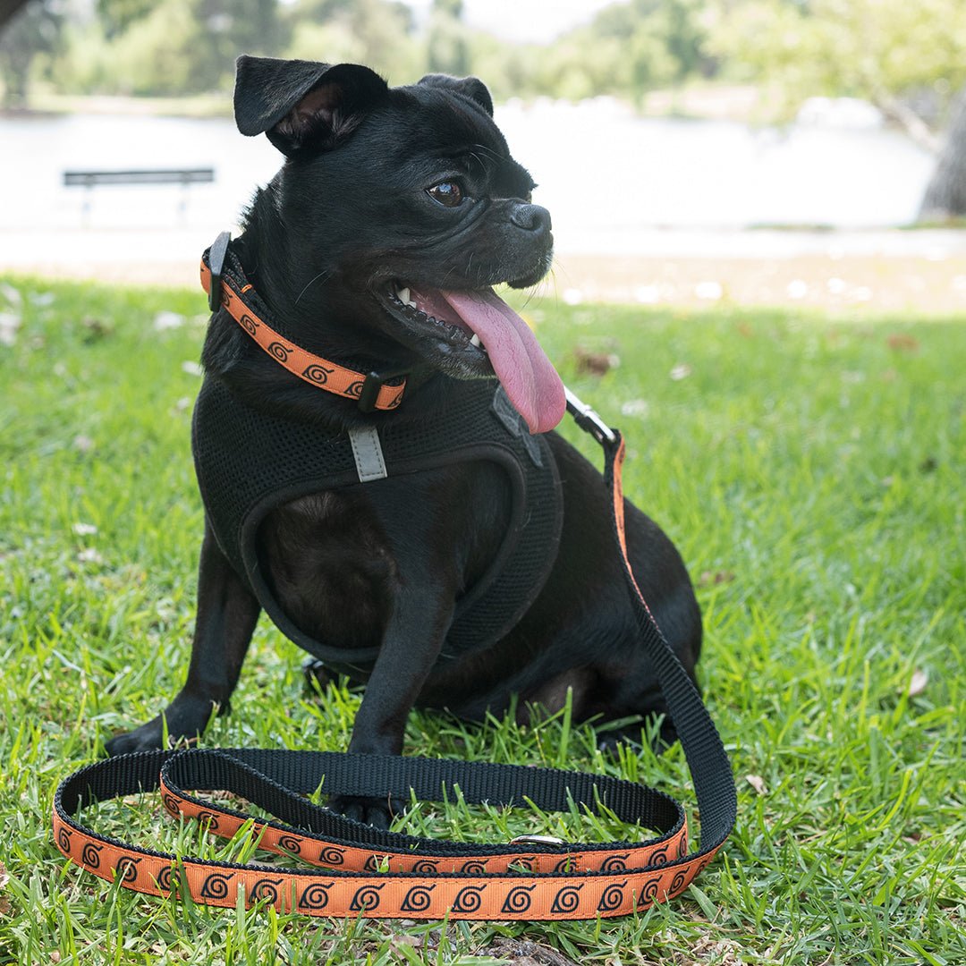 Naruto Collar