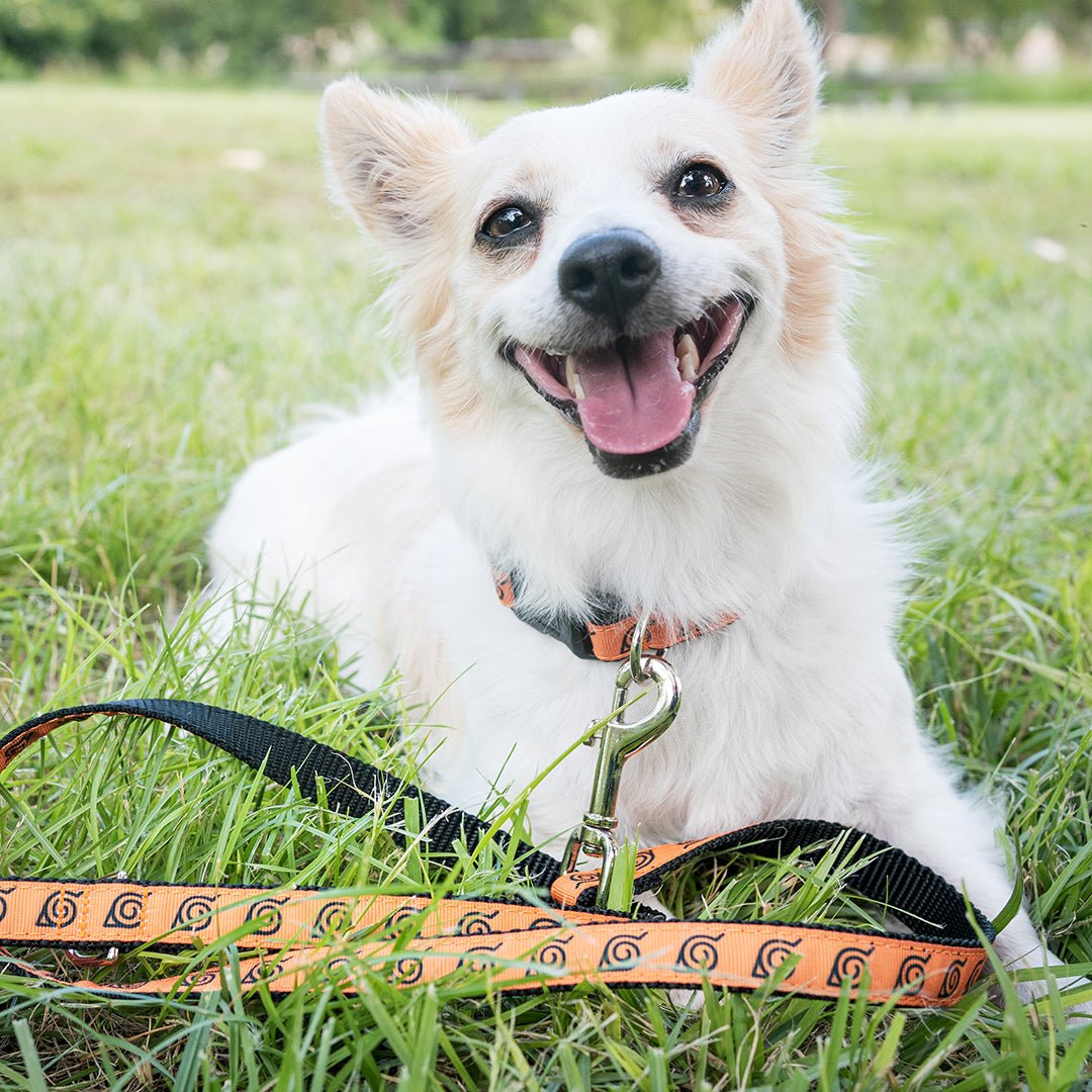 Naruto Leash