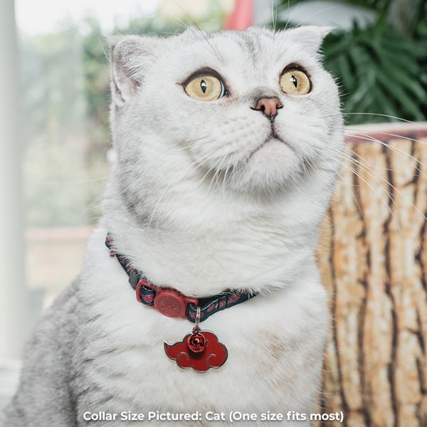 Cat wearing Naruto Shippuden Akatsuki Dog Collar and Pet Tag