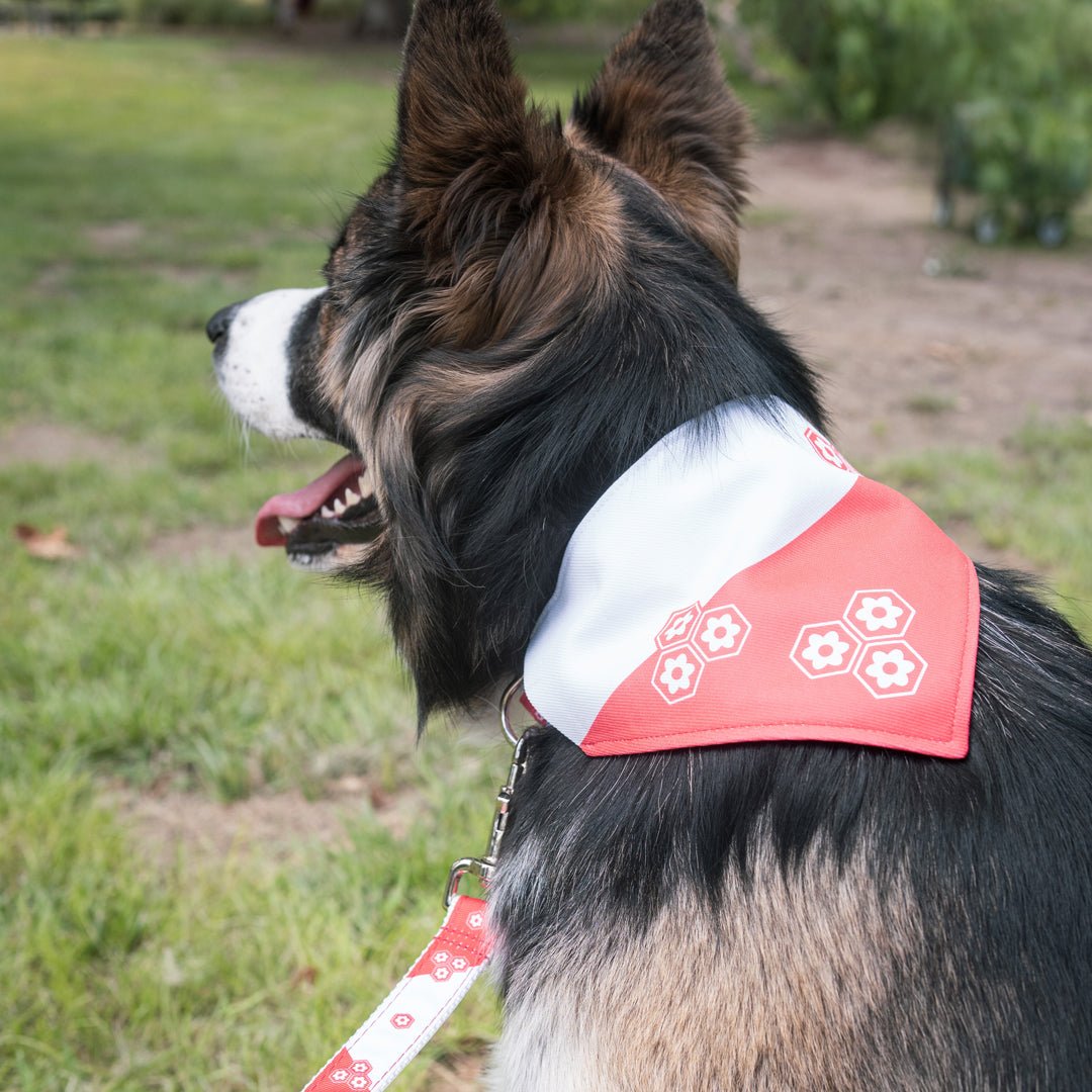 Sesshomaru Collar