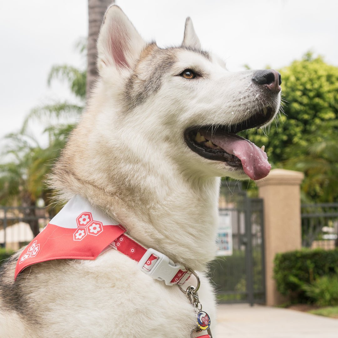 Sesshomaru Collar