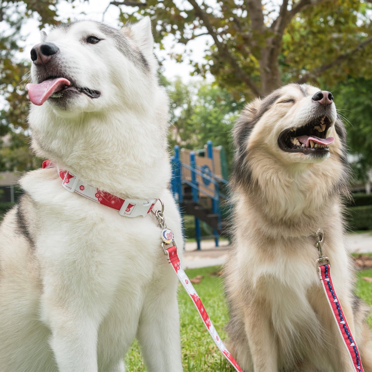 Sesshomaru Leash